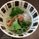 減塩☆薬味の風味が美味しい『釜揚げしらす丼』